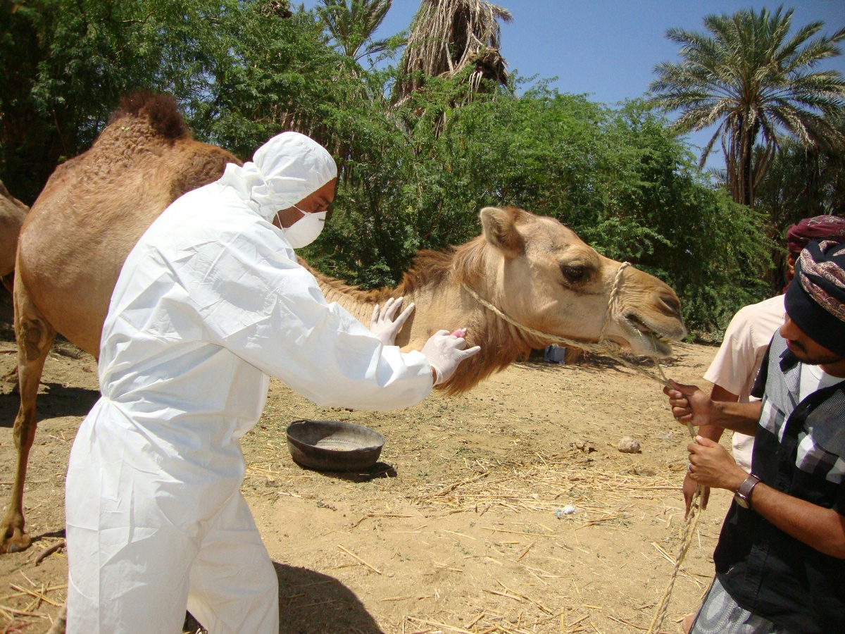 Animal Pharmaceuticals